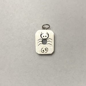 Cancer Zodiac 925 sterling silver charm